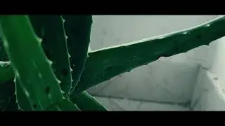 Balcony // Cinematic short film // NATURE Smartphone B Roll