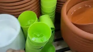 Жизнь станичная. Заехали в Доброцен. Квочка достала! Наш ужин.