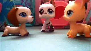 Littlest Pet Shop: Teen Time Travelers (Trailer)