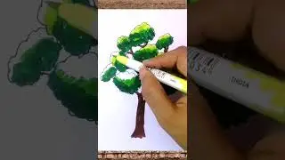 How To Draw Tree Step By Step for beginner #tree #treedrawing #drawing