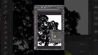 Photoshop trick | Photoshop tutorial  #graphicdesign #design #photoshop #photoshoptutorial #adobe