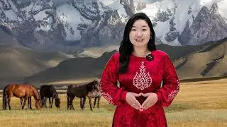 Бұл қызық. Жылқы туралы қызықты деректер
