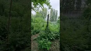 Азербайджан ❤️❤️❤️❤️❤️