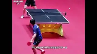 樊振东用面部发力打服松岛辉空这一球，什么时间看到能不笑？ 