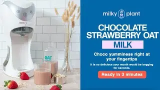 How To Make Chocolate Strawberry Oat Milk - Recipe Milky Plant