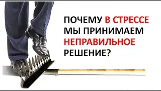 Почему в стрессе мы принимаем неверные решения?