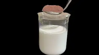 Trying the TikTok Cocoa Powder Challenge