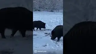 10 декабря 2021 г.