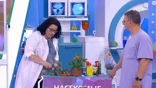 О самом главном. Выпуск от 24.05.2024
