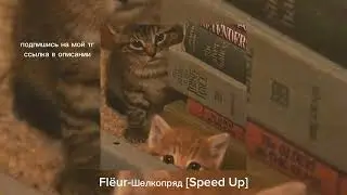 ⋆ ˚｡⋆୨୧˚плейлист вайбовой осени˚୨୧⋆｡˚ ⋆