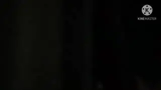 Tiroteo cerca de mi casa
