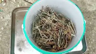 Проверка сеток от ламп