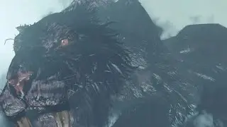 DARK SOULS II: Lud & Zallen, the King's Pets