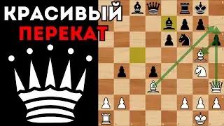 Белые перекатывают Славянскую защиту. Шахматы