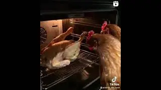 саня ты в порядке ты скажи нам ты в порядке саня