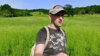 Апшеронский район. В поисках земляники на заброшенный хутор.
