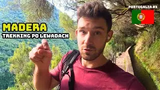 MADEIRA ON YOUR OWN (PR6 ROUTE - LEVADA DO RISCO & 25 FONTES) || MADEIRA || Sunday Trips #51