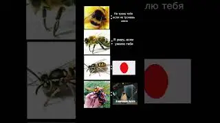 24 серпня 2023 р.