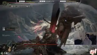 First Time Seeing Waterfowl Dance Be Like... 💀