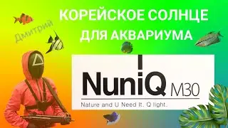 Корейское солнце для аквариума.
