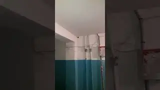 ЖеСтЬ летуЧаЯ МыШа.....в подъезде на 9 ЭЭэТаЖе..