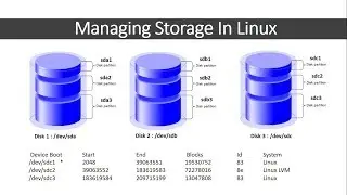 Managing Storage in Linux with fdisk , lsblk , blkid , du and df command