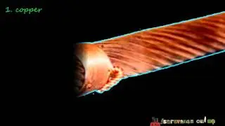 Electrical  conductor and types