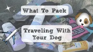 What To Pack When Traveling With Your Dog!