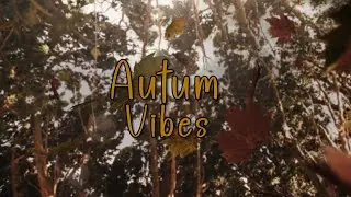 Autumn Vibes 🍂🍄 Carpfishing | Karpfenangeln | Карпфишинг
