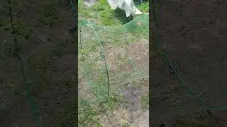+79531109165