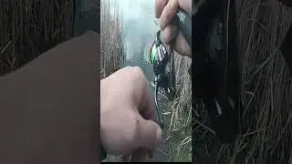 БАС мечо БАС 
