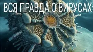 Вся правда о вирусах