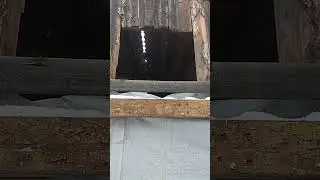 еда для птичек