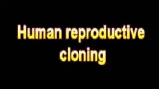What Is The Definition Of Human reproductive cloning - Medical Dictionary Free Online Terms