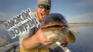 Smokin' Bowfin! Shallow Spring Smashfest