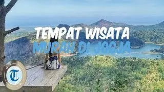 8 Tempat Wisata di Jogja dengan Harga Tiket Masuk Murah, Ada Kalibiru dengan Spot Foto Instagramable