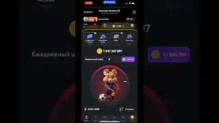 Как ввести ежедневный шифр в Hamster Kombat на 12 августа