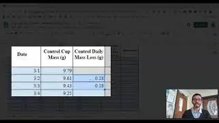 Primary Consumer E Flow - Data Video