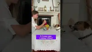 А у вас есть хвостастый друг? 💜
