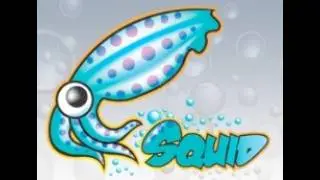 A Tutorial for Configuring HTTPS with Squid Proxy and squidGuard on Linux