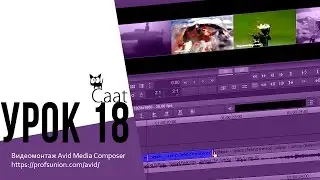 Caat / Урок 18. Урок по редактированию клипов на Таймлинии в Avid Media Composer.