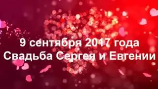 Свадебное интервью. Подставное интервью с гостями. Подарок молодоженам