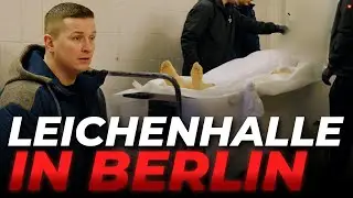6000 TOTE pro JAHR Praktikum beim LEICHENWAGEN-FAHRER