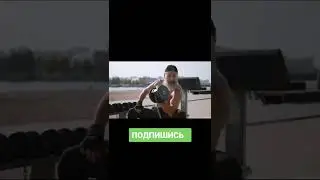 Факты о бицепсе #shorts