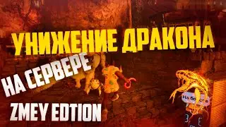 Боевой Дил... Меч, Униже.. Уничтожение дракона. Стрим №21 на сервере ZmeYEditioN