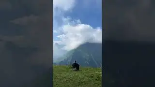 Северная Осетия, Кавказ, горы. #mountains #motivation #природа #travel #горы #nature