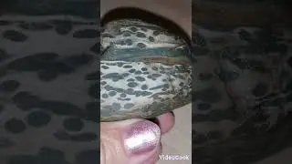 Леопардовая ЯШМА...