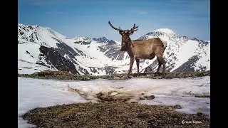 ГИМН ТУР КЛУБА ДРАКОН