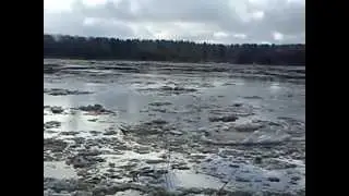 ледоход на реке Вычегда.MP4