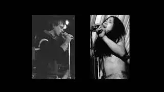 The Fall - I Am Damo Suzuki